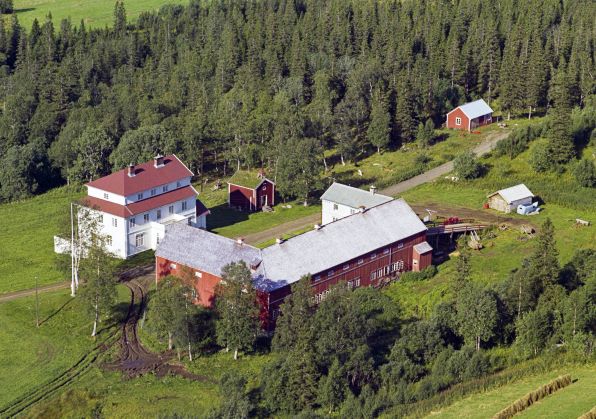 Mokk Gård – Steinkjer