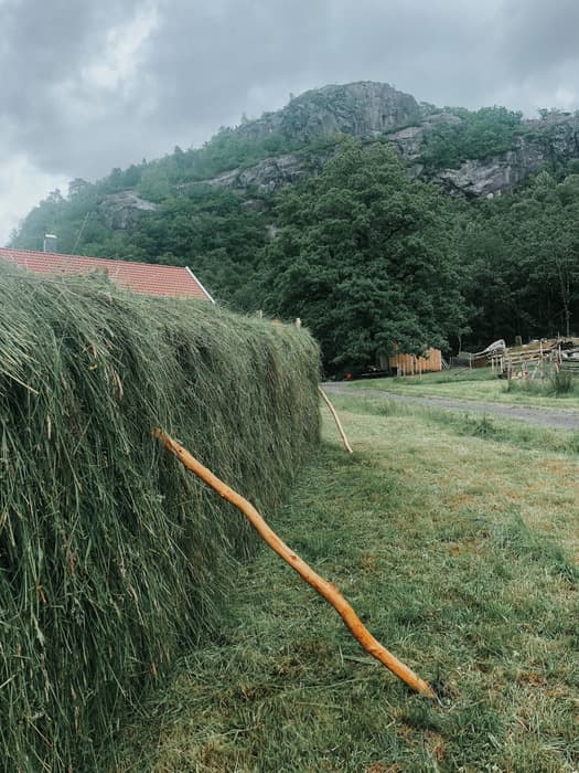 Svindal Gård – Farsund