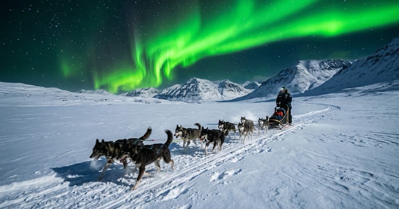 Aurora Husky – Meistervik
