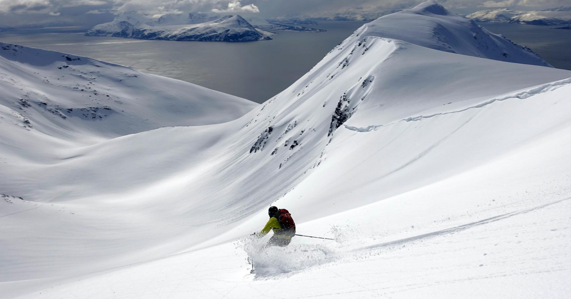 Bergbjørn Fjellservice – Elvegård
