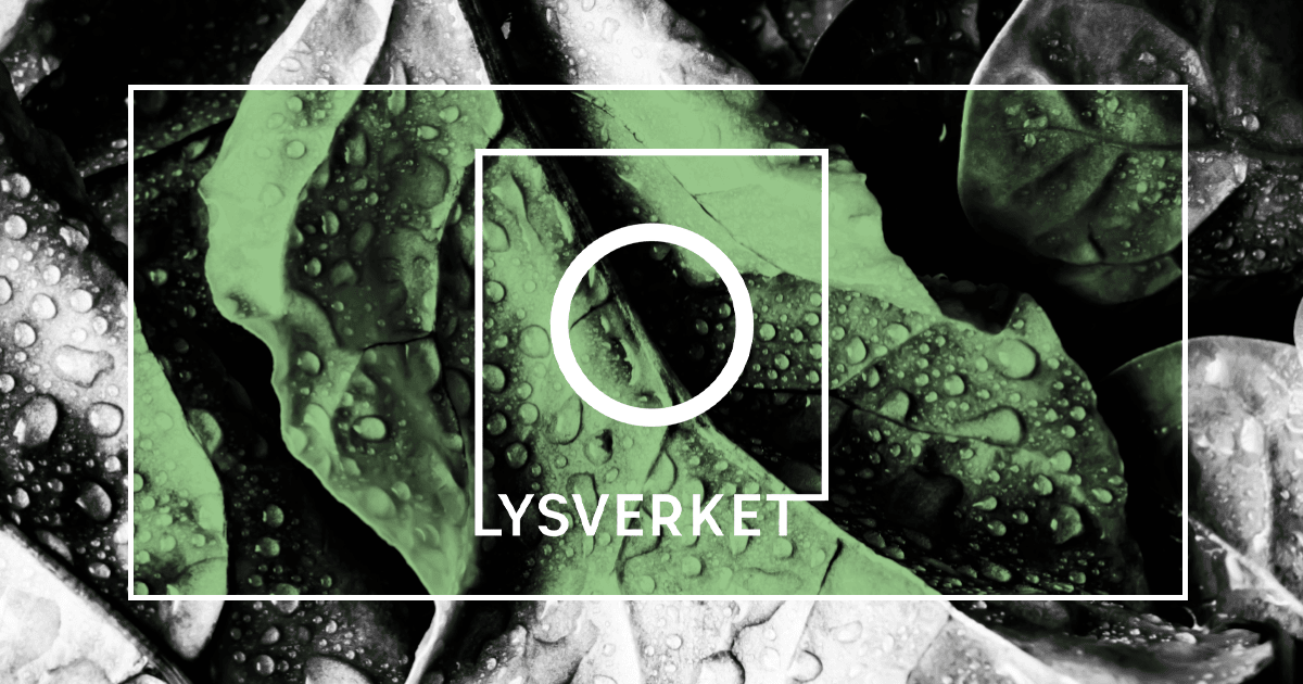 Lysverket – Bergen