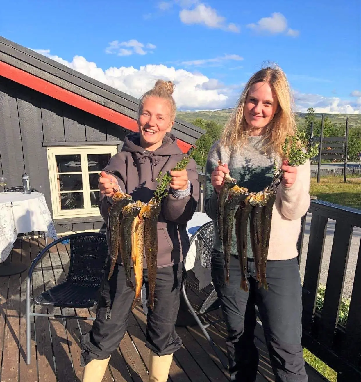 Torsetlia Fjellstue og Hyttegrend – Uvdal