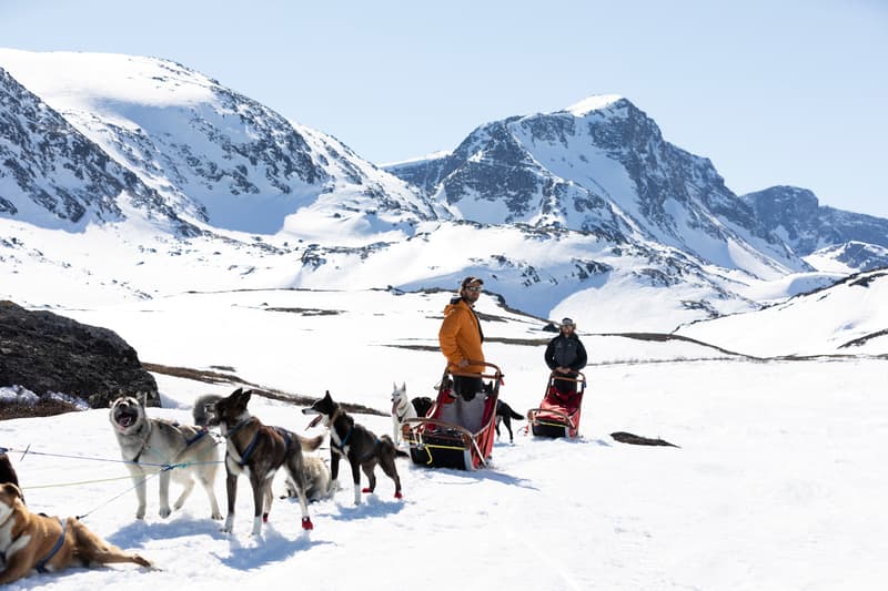 Jotunheimen Husky Lodge – Randsverk