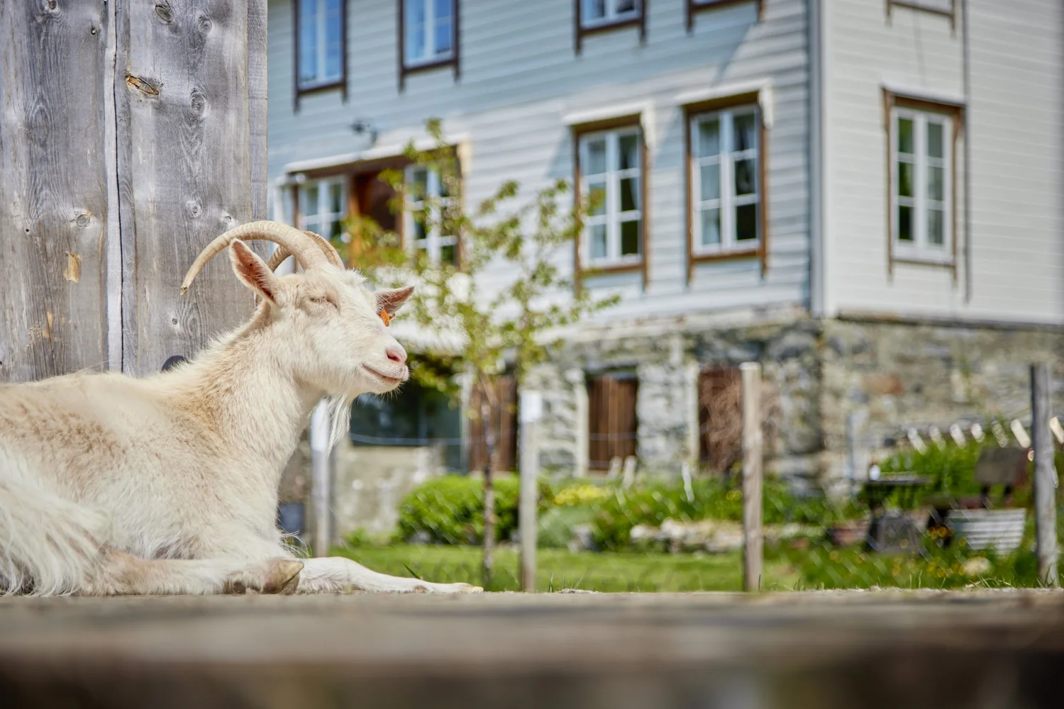 Overvoll Farm Retreat & Activity Centre – Stranda