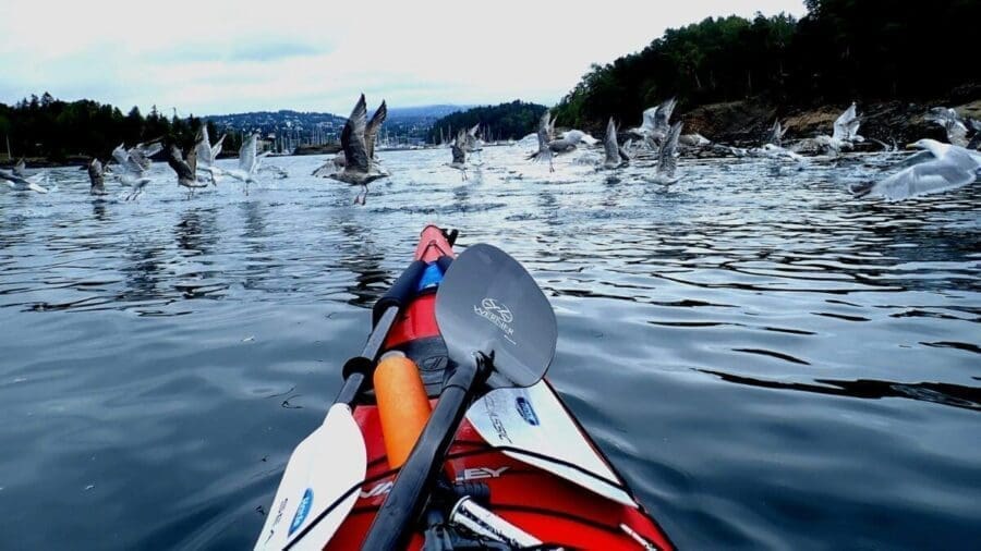 Oslo Kayak Tours – Oslo