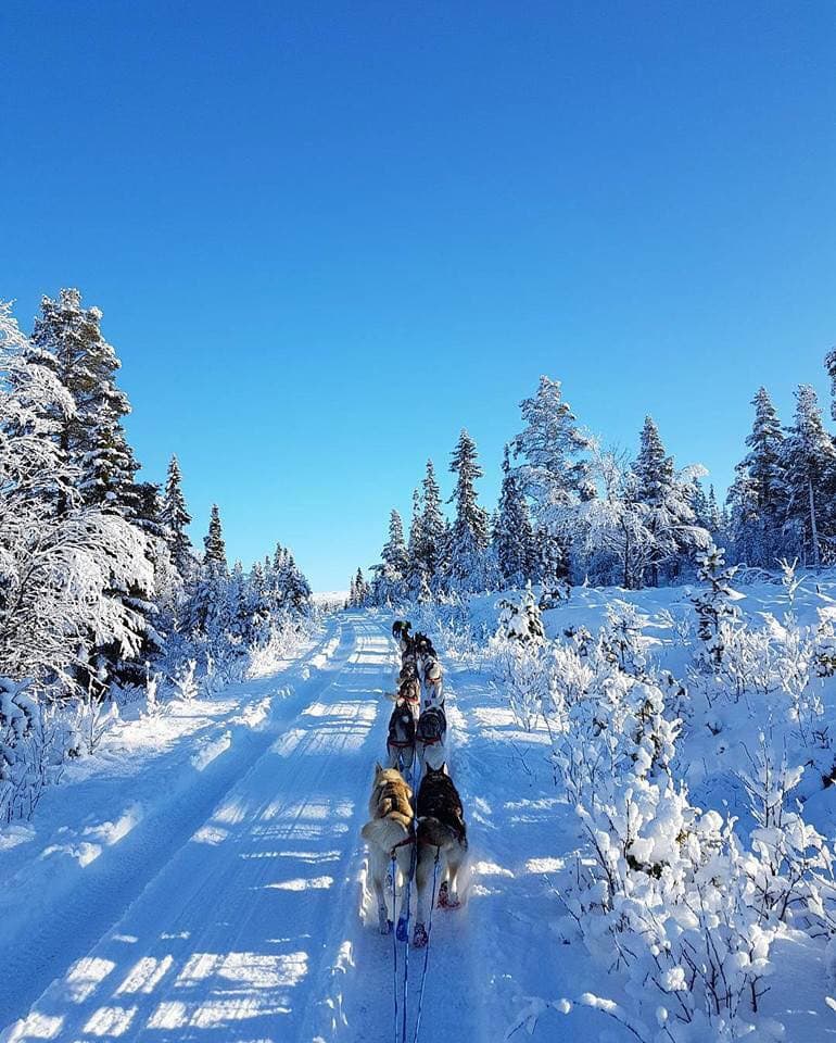 Fjell-Huskies Trysil – Trysil