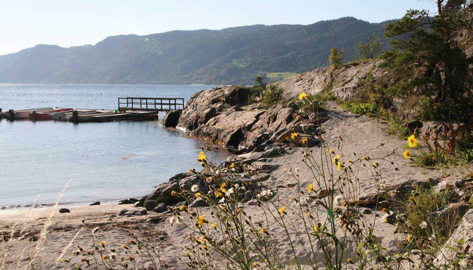 Tråsåvika Camping – Viggja