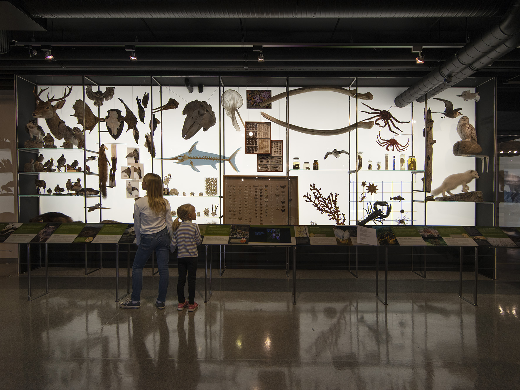 Rana museum – Mo i Rana