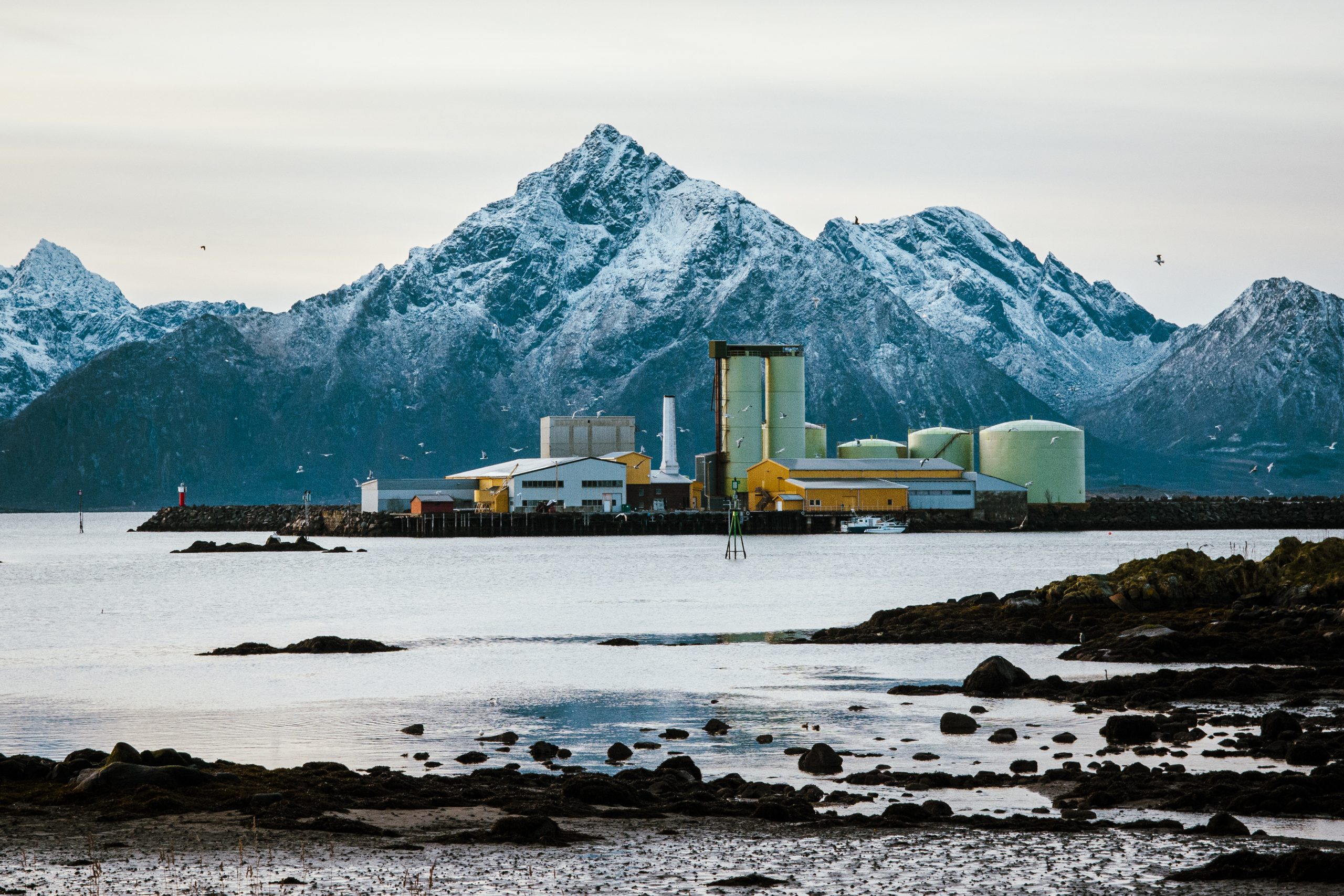 Neptun Sildoljefabrikk – Melbu