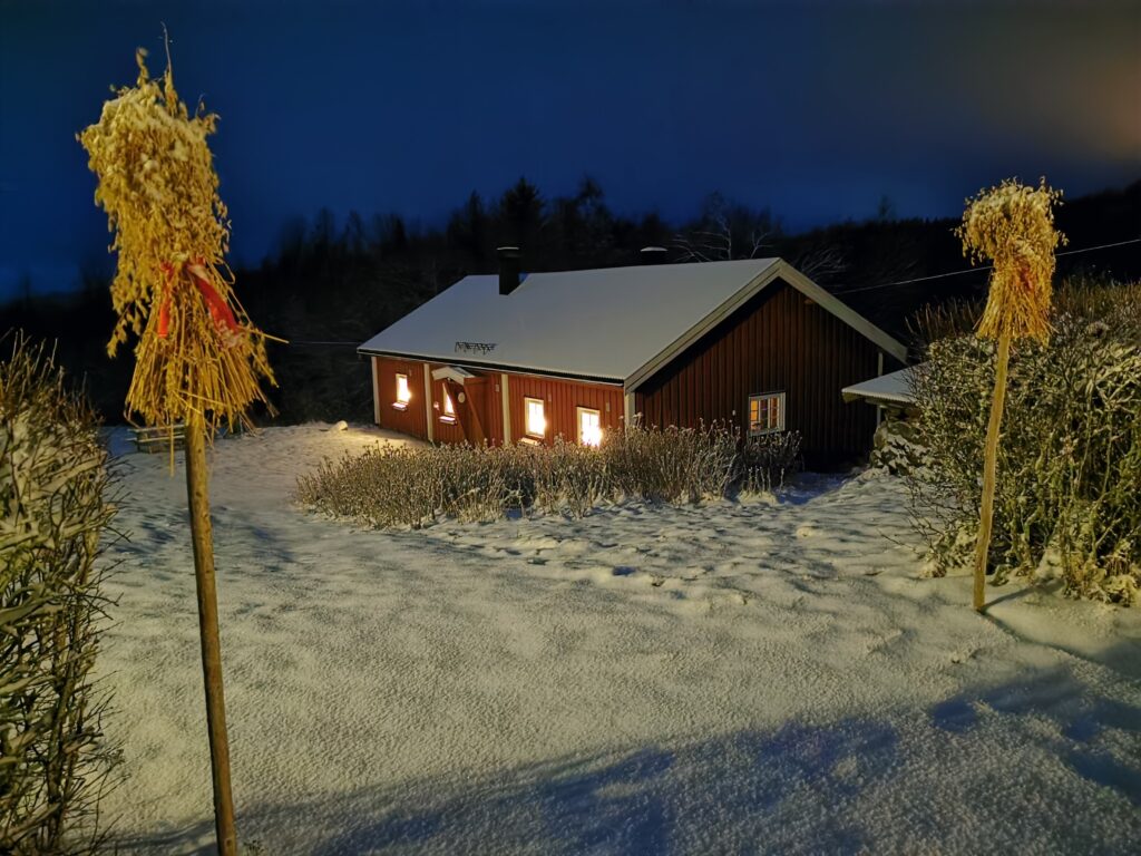 Nedre Øieren Gård – Lundersæter