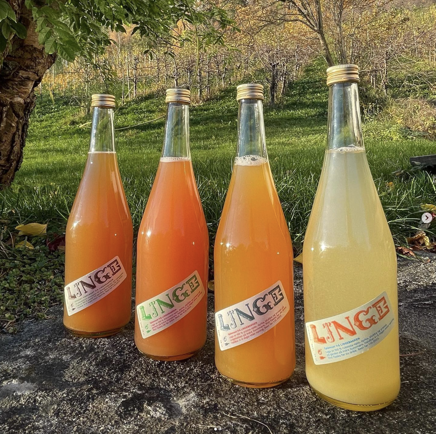 Lingebakken – Valldal