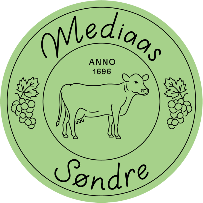 Mediaas Søndre – Snåsa