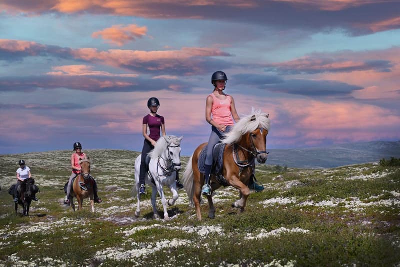 Rendalen Fjellridning – Rendalen