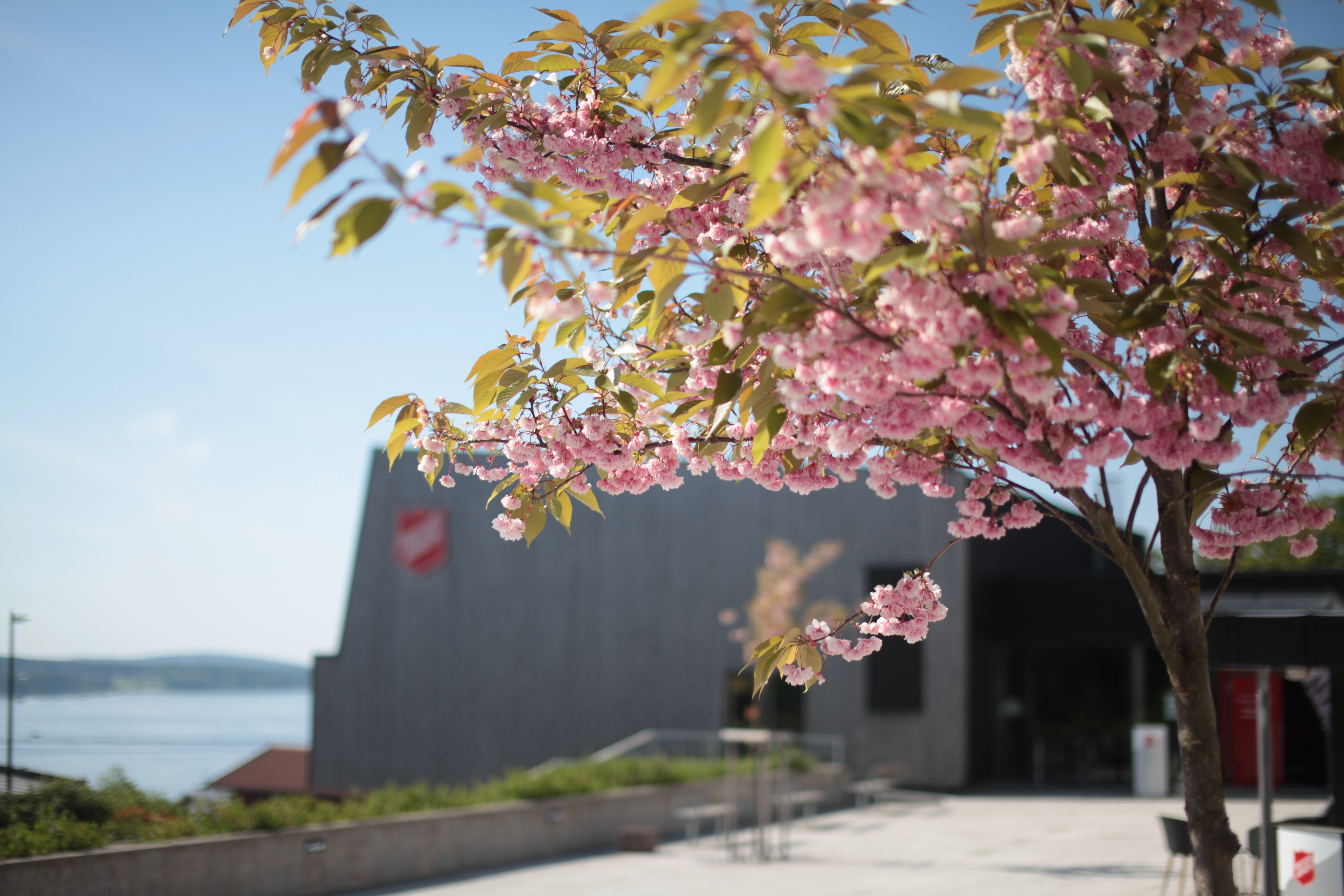 Jeløy kurs- og konferansesenter – Moss
