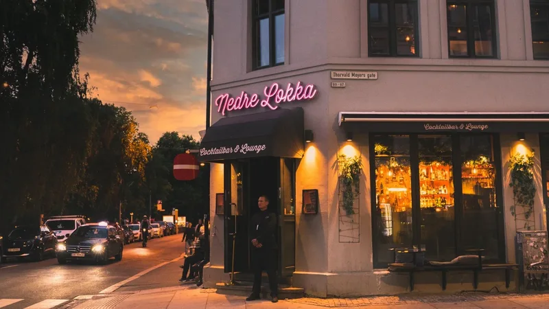 Nedre Løkka – Oslo