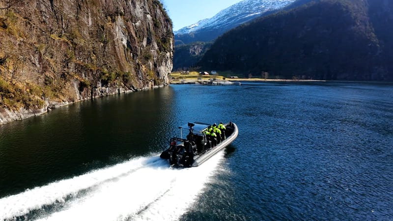 Bergen Fjord Safari – Bergen