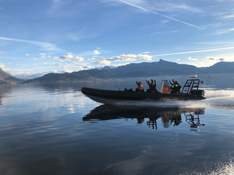 Rib Narvik – Narvik