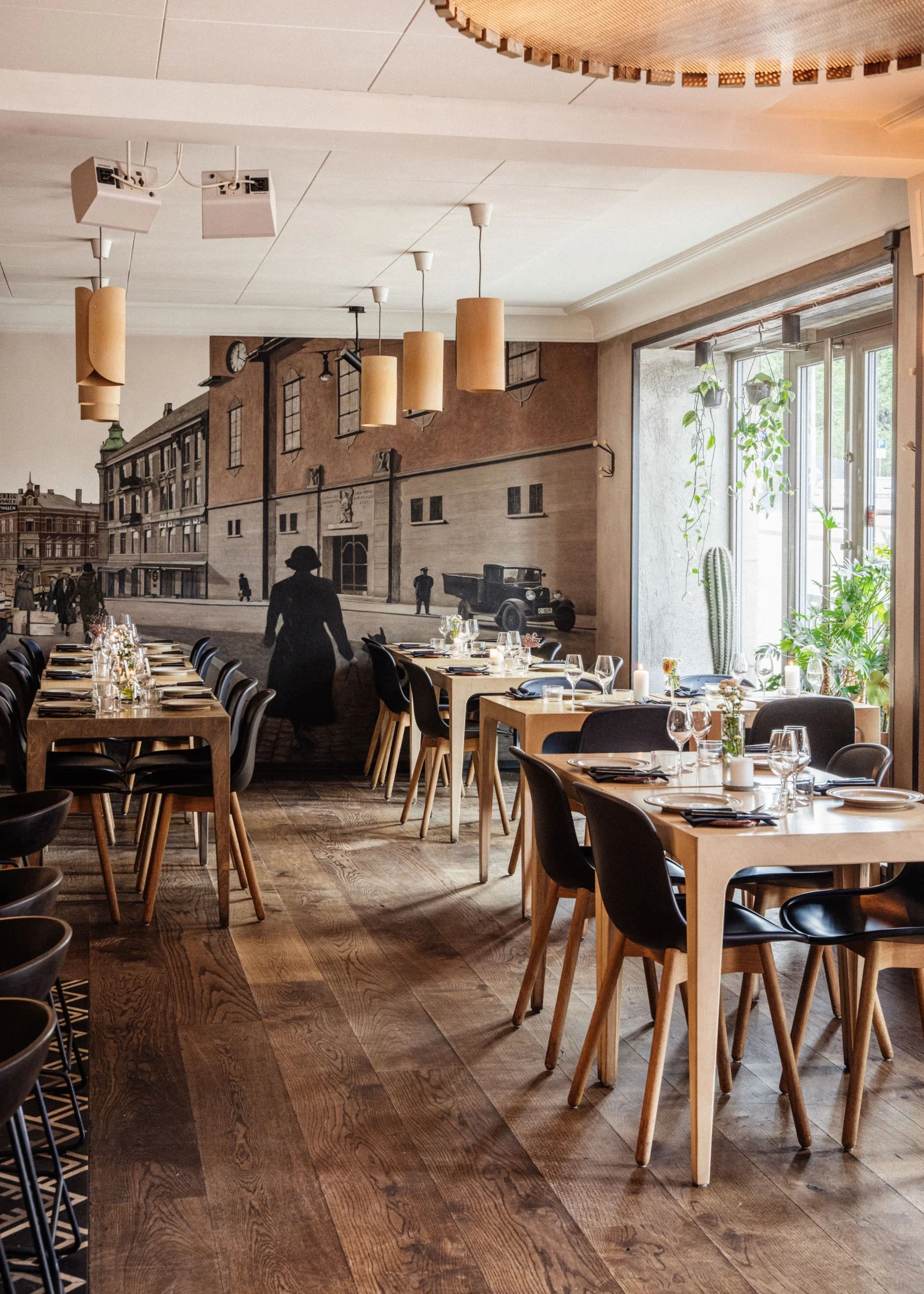 Smalhans – Oslo