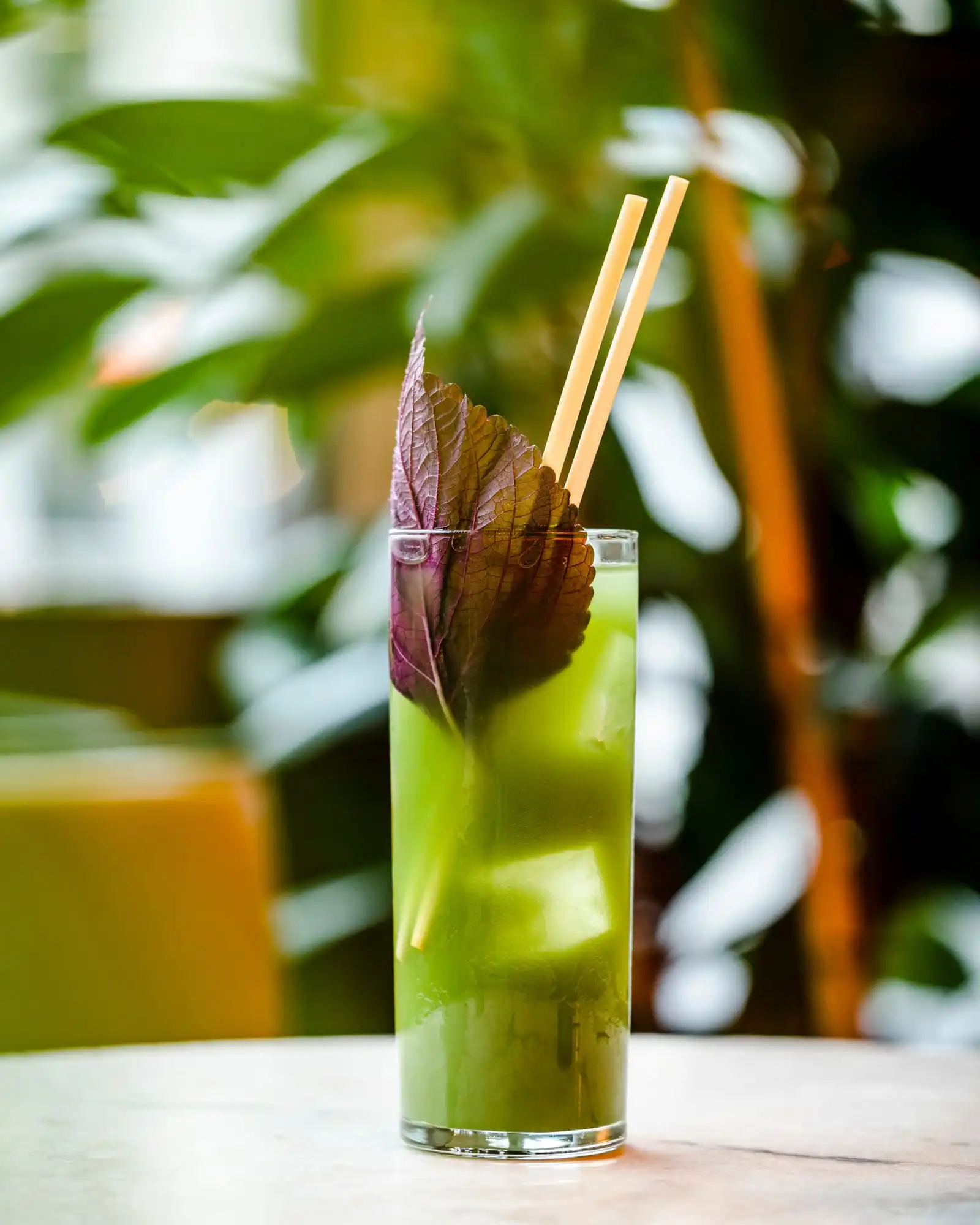 Torggata Botaniske – Oslo