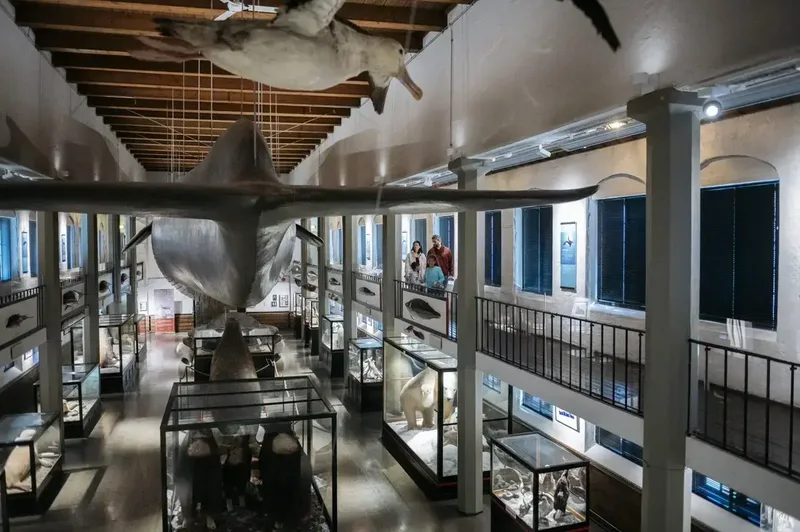Hvalfangstmuseet – Sandefjord