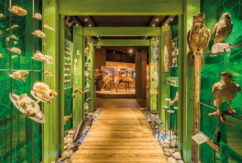 Anno Norsk skogmuseum – Elverum