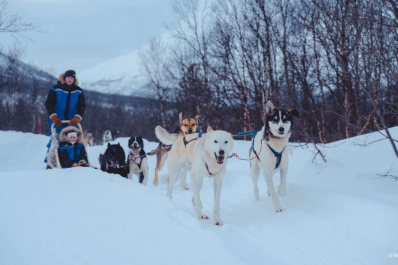 Vervet Adventures – Tromsø