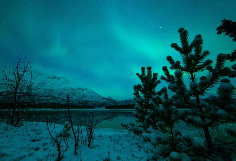 Lyngsfjord Adventure – Øverbygd