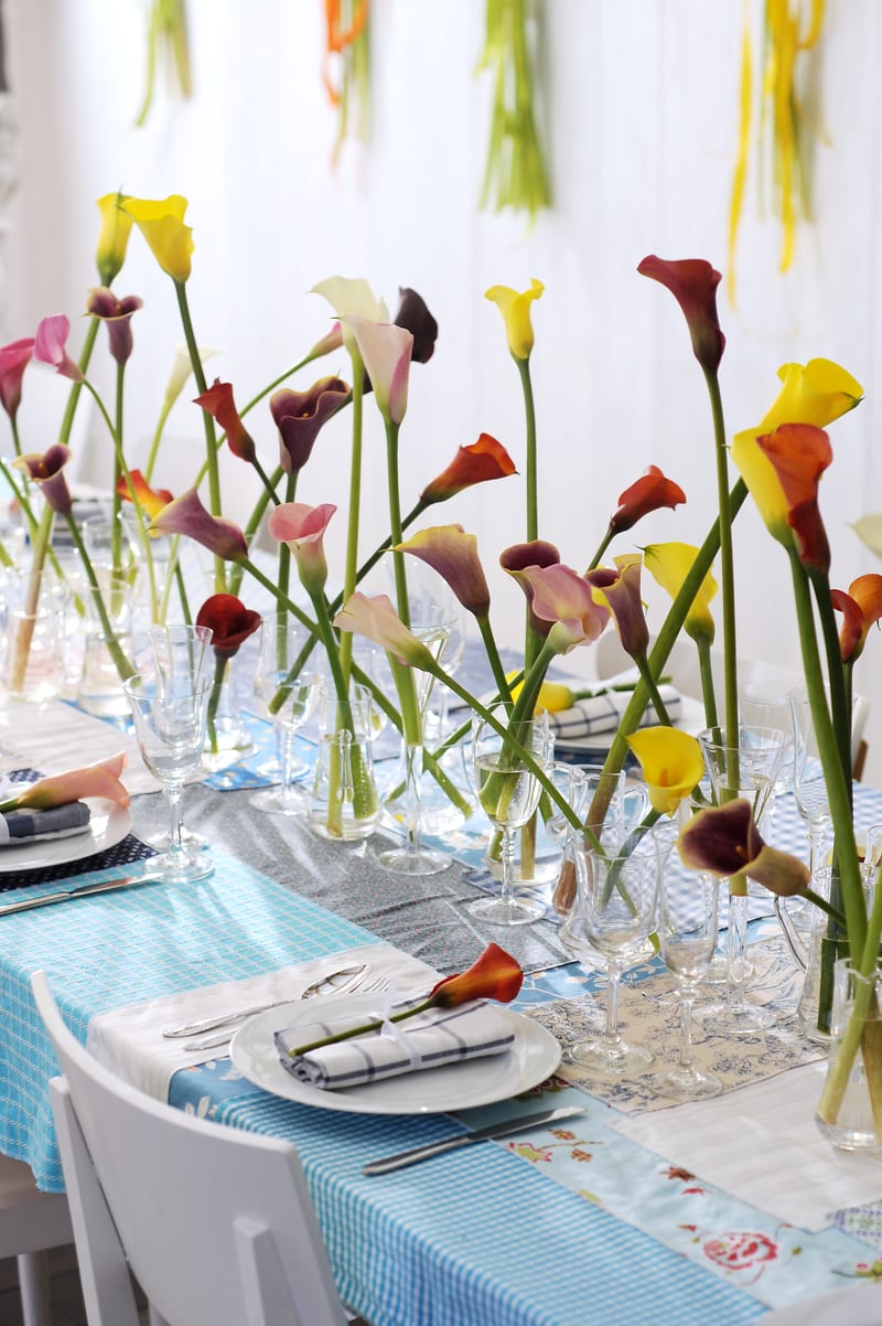 Bjerkeng Blomster – Bodø