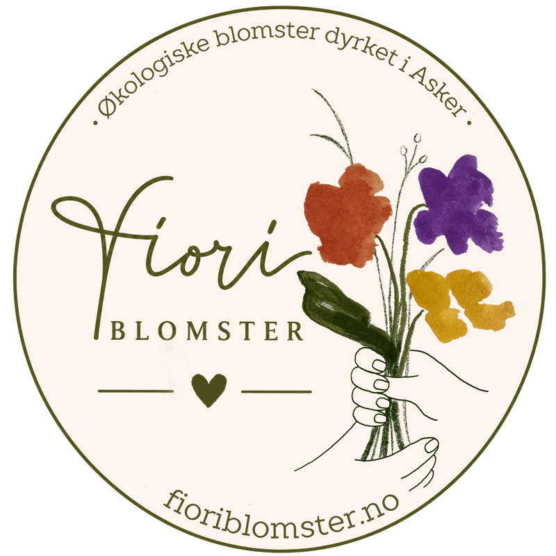 Fiori Blomster – Vollen
