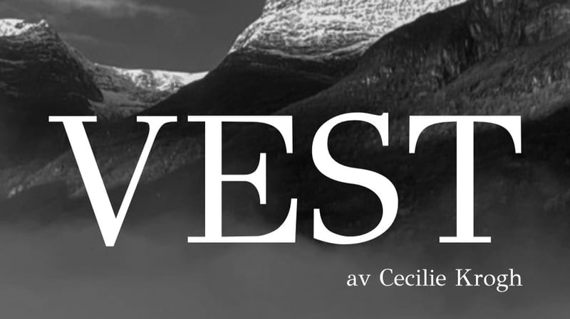 VEST Studio – Oslo