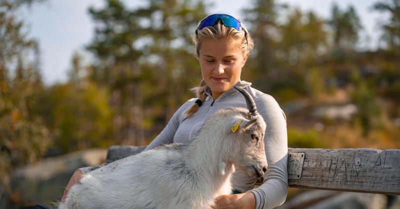 Fossen Friluft – Ringkollen