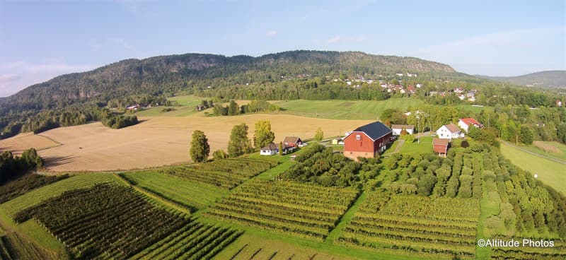Vestre Frogner Gård – Skui