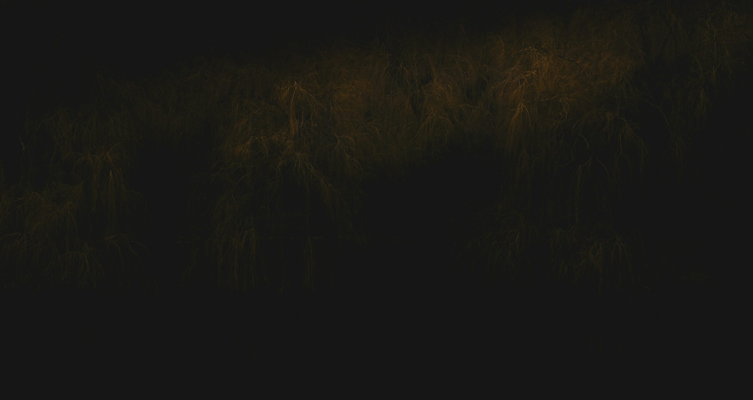 NordTune – Bergen