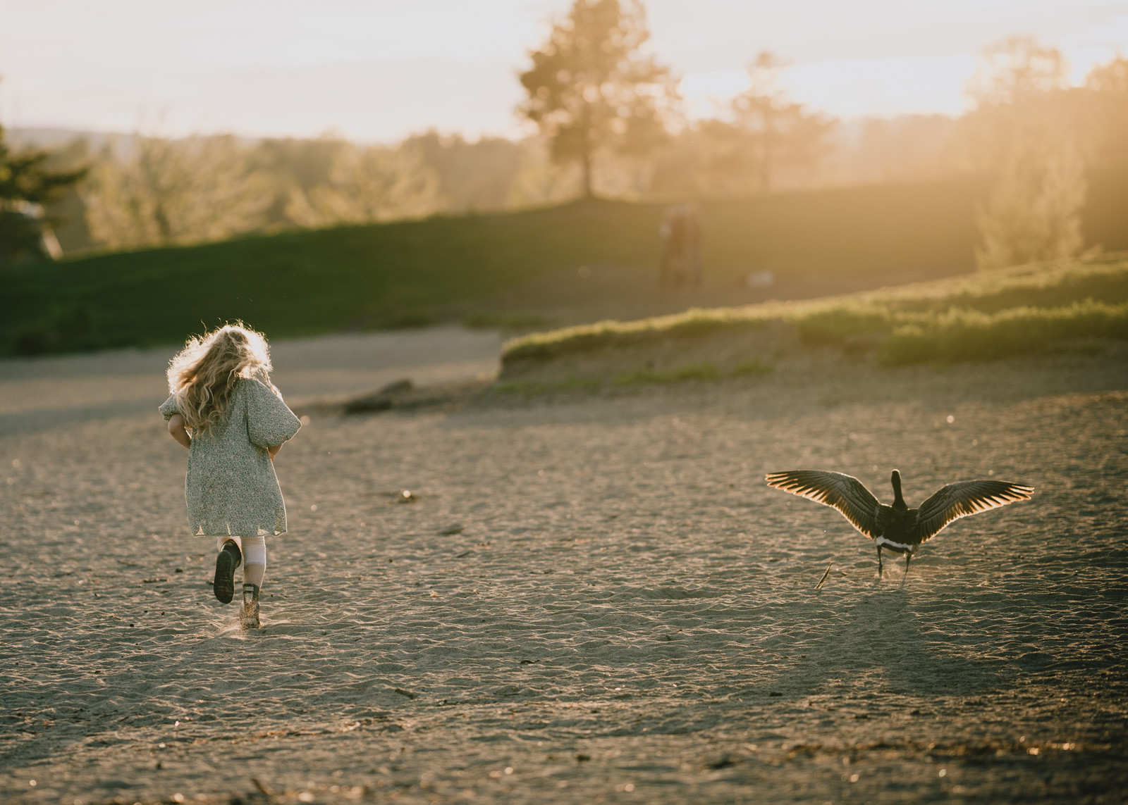Lysglimtfoto – Asker