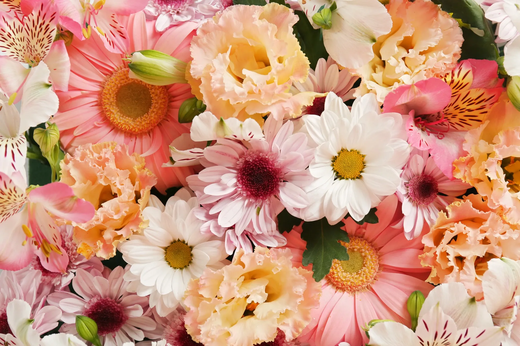 Alta Blomster og Dekor AS – Alta
