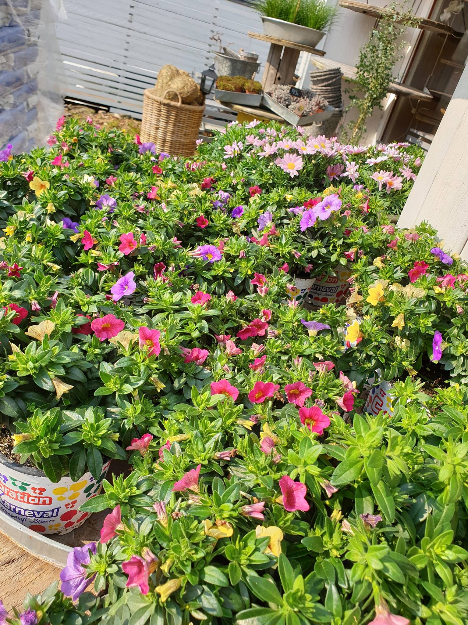 Zwerg Blomster AS – Stavanger