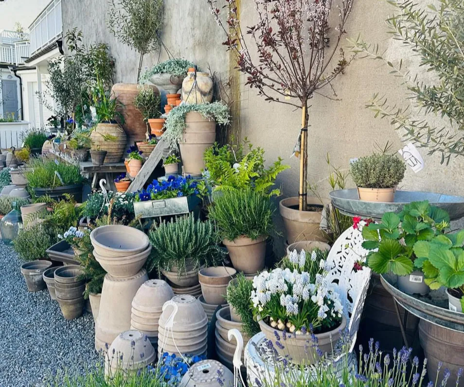 Stavern Blomstermakeri – Stavern