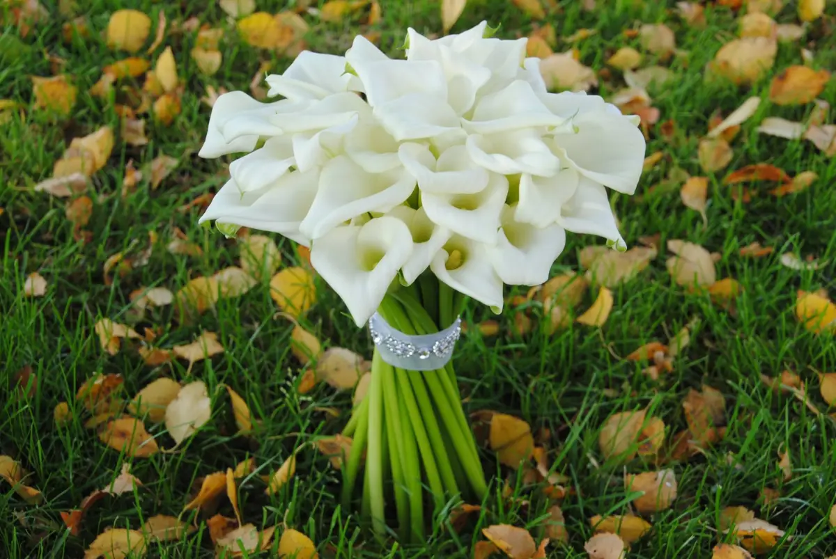 Maren's Blomster – Stavanger