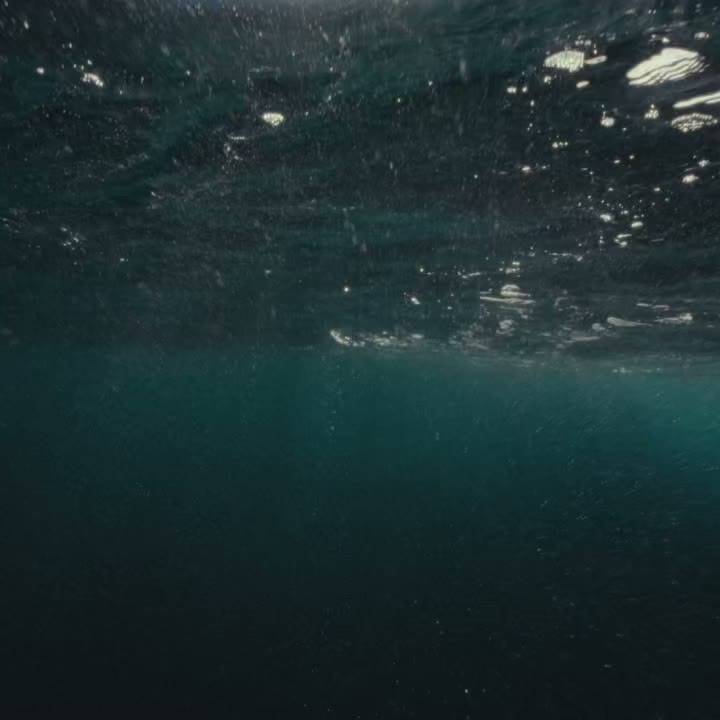 VJUS AS – Oslo
