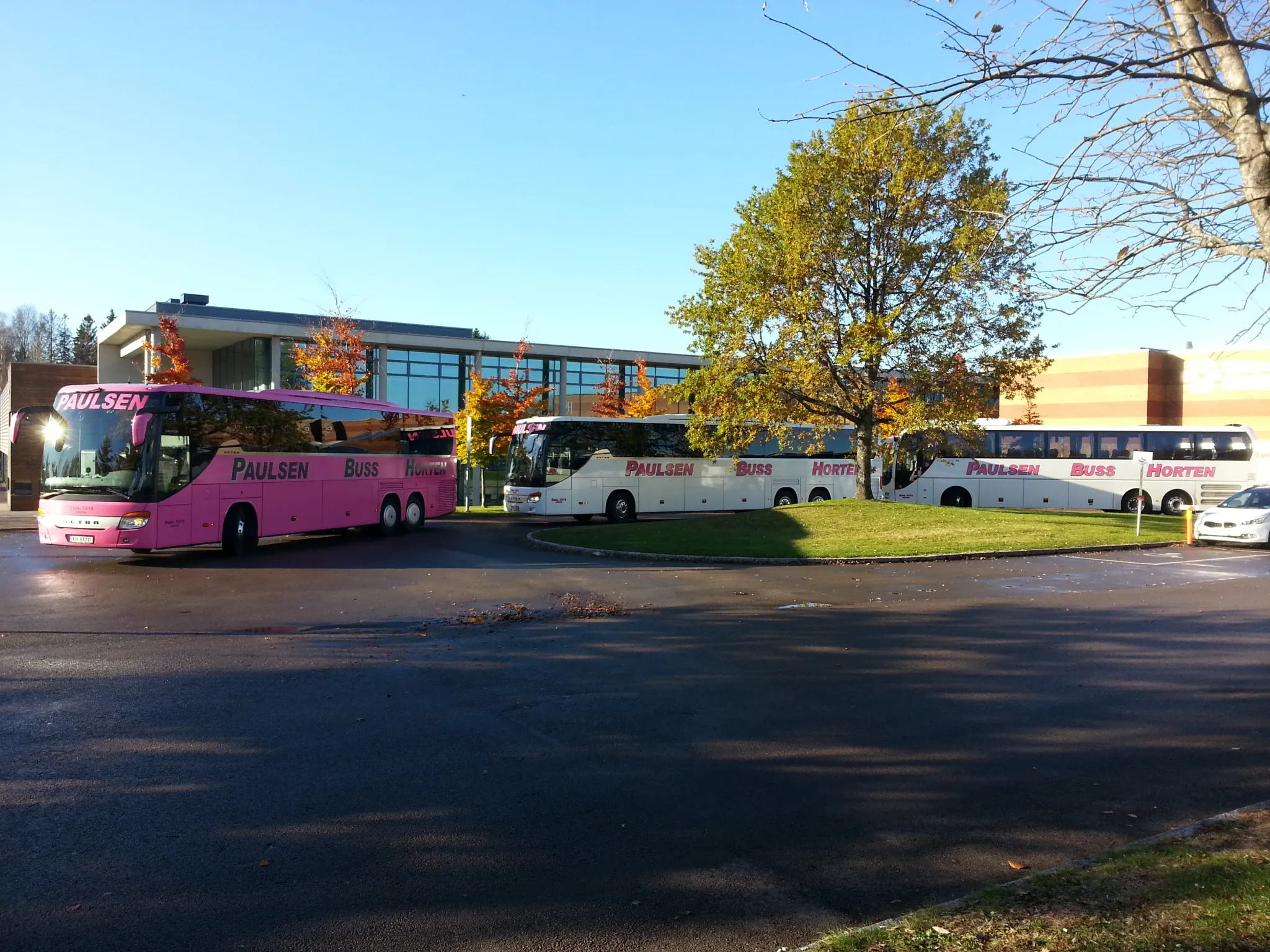Paulsen Buss AS – Horten