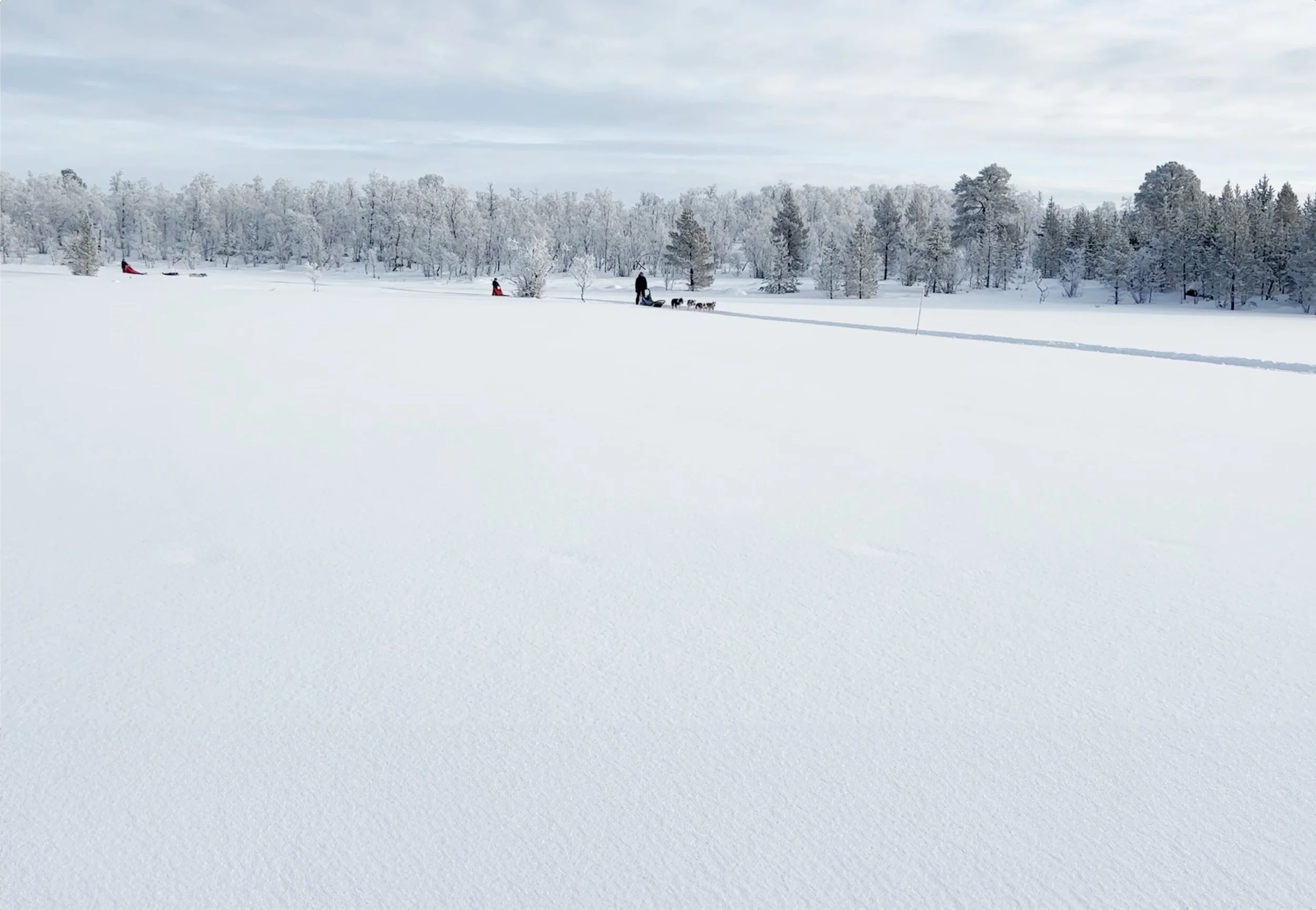 Røros Husky Adventures – Glåmos