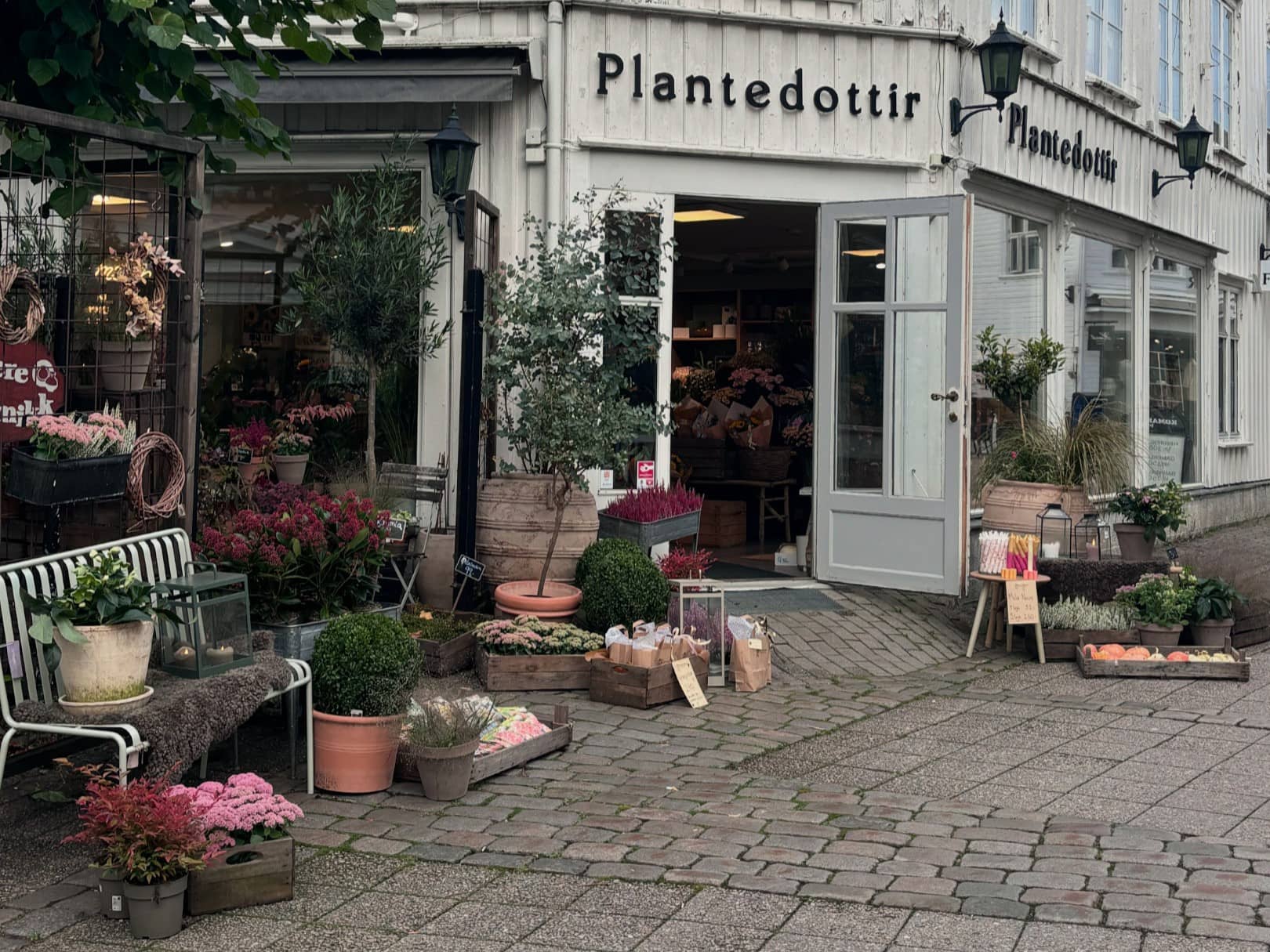 Plantedottir AS – Grimstad