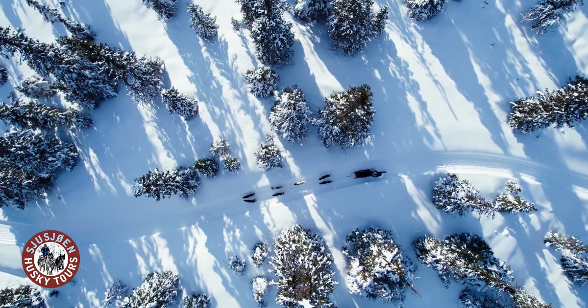 Sjusjøen Husky Tours – Mesnali