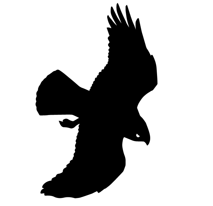 Norsk Fjellsenter – Lom
