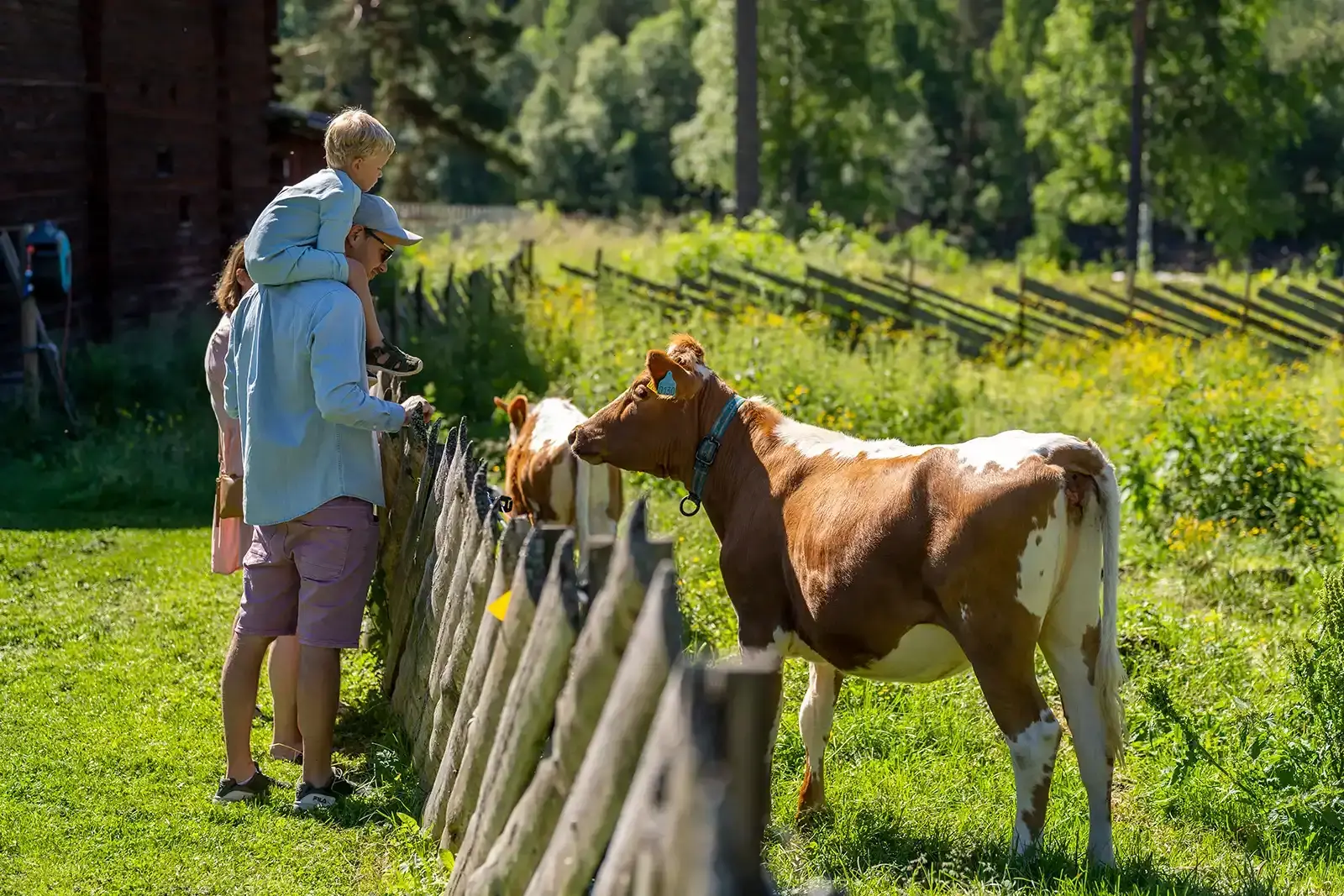 Glomdalsmuseet – Elverum