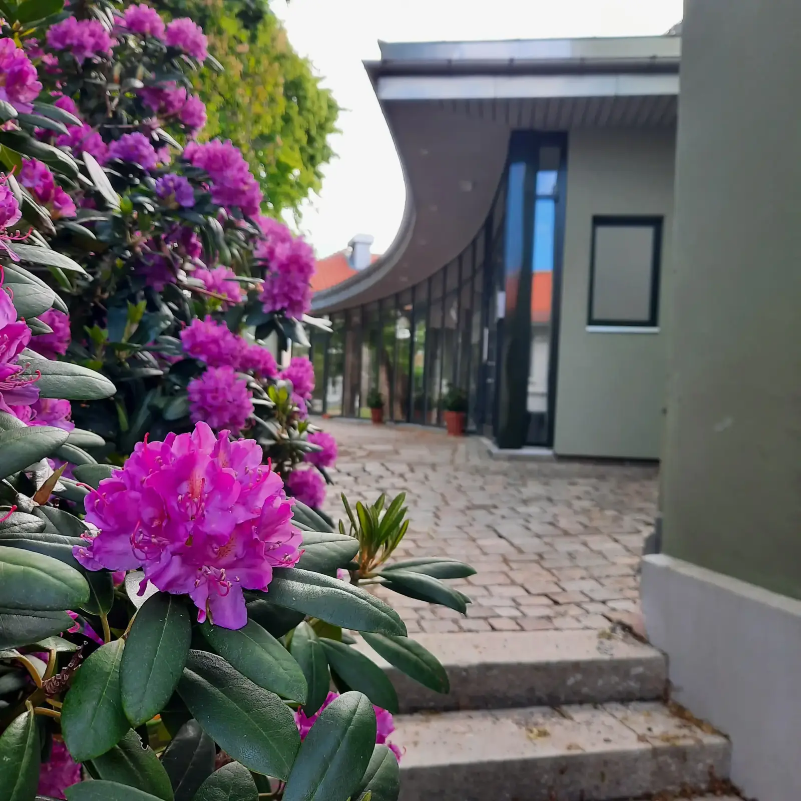 Halden museum - Fayegården – Halden