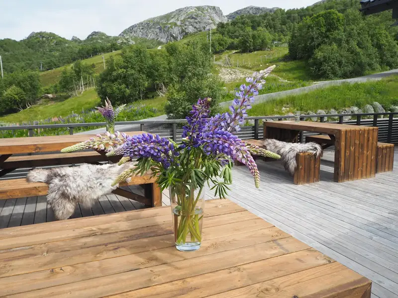 Hotel Sirdal – Tjørhom