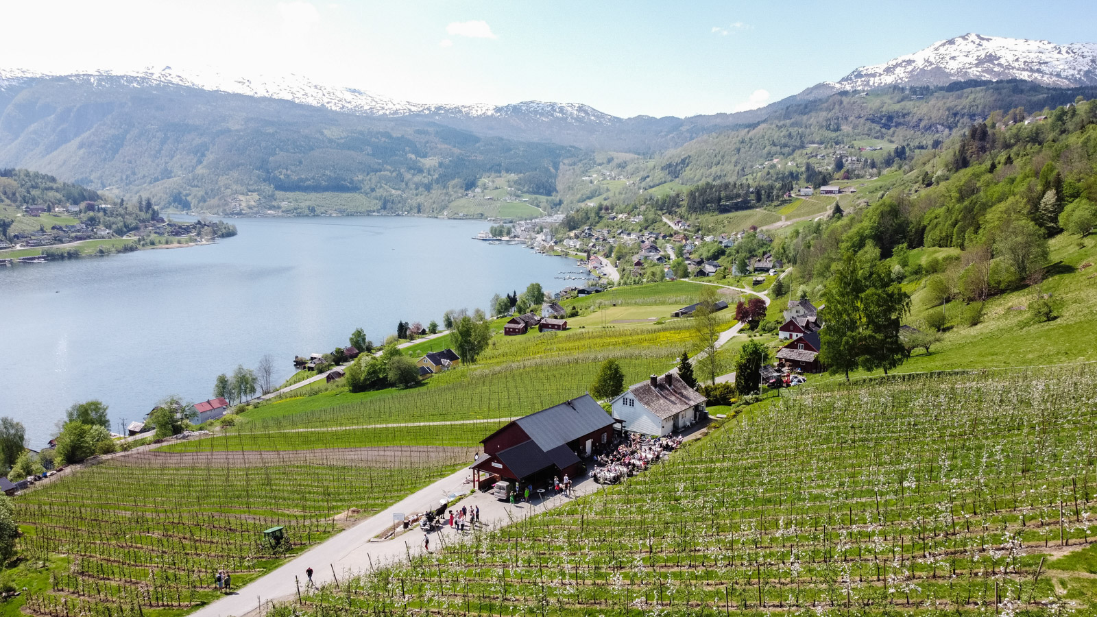 Syse Gard – Ulvik