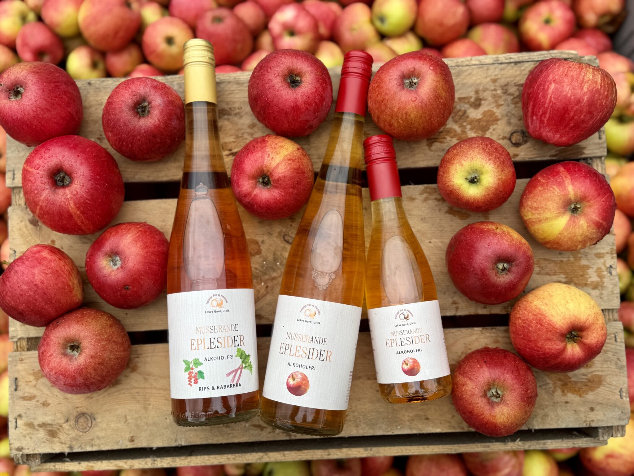 Hardanger Saft og Siderfabrikk – Ulvik